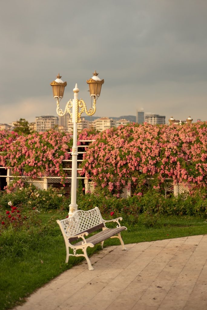 maltepe gül bahçesi